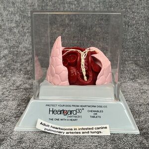 New Heartworm Model
